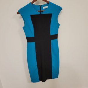 Colorblock Calvin Klein Shift Dress